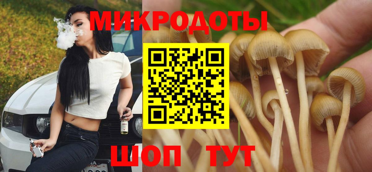 Псилоцибиновые грибы GOLDEN TEACHER  цены наркотик  Вход с VPN  Асбест  Псилоцибиновые грибы Psilocybe 